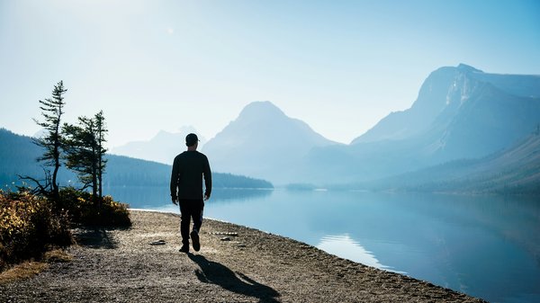 Quels sont les meilleurs itinéraires pour un road trip à travers les forêts de Transylvanie?
